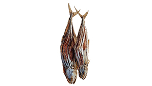 Dry Fish